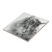 Niedliches flaumiges Katzen-Gesicht Fliese (Seite)