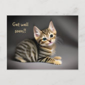 Niedliches flauschiges Katzenbaby "wird bald gesun Postkarte (Vorderseite)