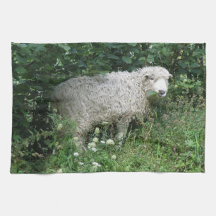 Niedliches, flauschiges weißes Schaf, das Küchentu Handtuch