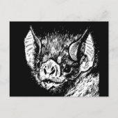 Niedliches Fledermausgesicht. Grafik, zeichnend. Postkarte (Vorderseite)