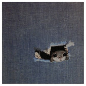 Niedliches Fliegen-Eichhörnchen-Zeichnen Stoff (Nahaufnahme)