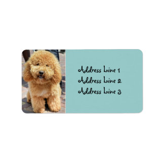 Niedliches Fluffy Brown Dog Foto-Adressetikett Adressaufkleber