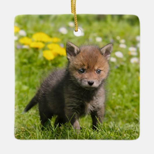 Niedliches Fluffy Red Fox Cub Wild Baby Foto Porze Keramikornament (Vorderseite)