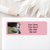 Niedliches Foto (Insitu)