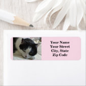 Niedliches Foto aus Schwarz und Weiß (Insitu)