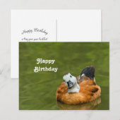 Niedliches Foto der Ente zum Geburtstag Postkarte (Vorne/Hinten)