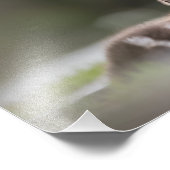 Niedliches Foto der Küken (Ecke)