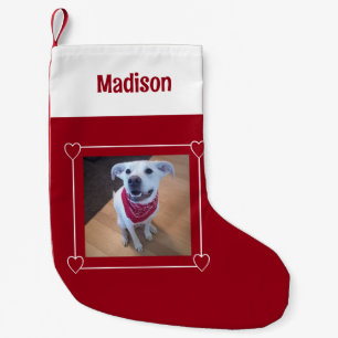 Niedliches Foto des Hundes - Lächeln des roten und Kleiner Weihnachtsstrumpf