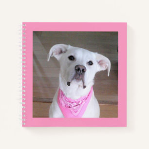 Niedliches Foto des weißen Hundes mit rosa Scarf Notizblock