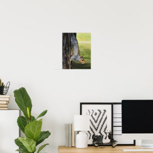 Niedliches Foto einer Östlichen Grauhörnchen in de Poster
