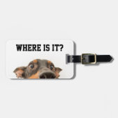 Niedliches Foto eines Hundes, der herausschaut wo  Gepäckanhänger (Vorderseite horizontal)