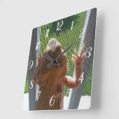 Niedliches Foto für Bartentropfen Quadratische Wanduhr (Winkel)