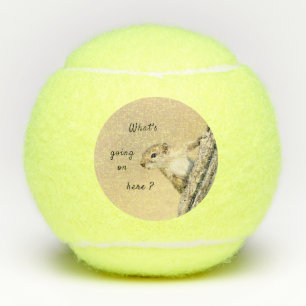 Niedliches Foto für Baumhirtenhörnchen Tennisbälle