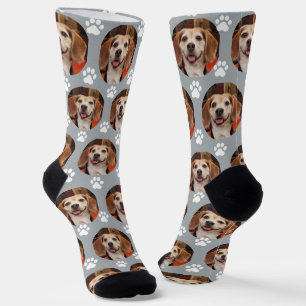 Niedliches Foto für Haustiere und Drucke Katze, gr Socken
