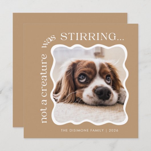 Niedliches Foto für Haustiere Weihnachten (Vorne/Hinten)