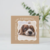 Niedliches Foto für Haustiere Weihnachten (Stehend Vorderseite)