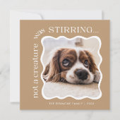 Niedliches Foto für Haustiere Weihnachten (Vorderseite)