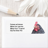 Niedliches Foto für Hühner (Insitu)