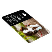 Niedliches Foto "I has a Wiggle Hintern" | Schwarz Magnet (Rechte Seite)