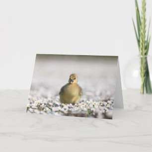 Niedliches Foto Karte