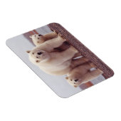 Niedliches Foto Magnet (Rechte Seite)