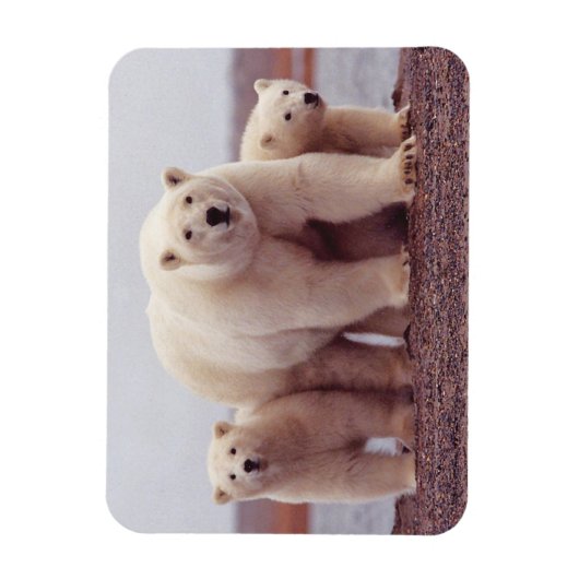 Niedliches Foto Magnet (Vertikal)