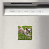 Niedliches Foto mit Shih Tzu Dog Magnet (In Situ (Geschirrspüler))