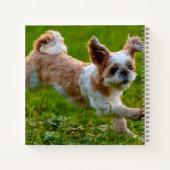 Niedliches Foto mit Shih Tzu Dog Notizblock (Rückseite)