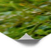 Niedliches Foto mit Shih Tzu Dog Poster (Ecke)