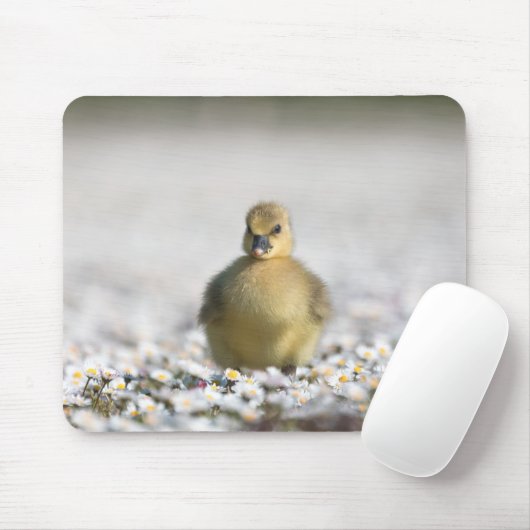 Niedliches Foto Mousepad (Mit Mouse)