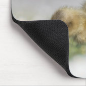 Niedliches Foto Mousepad (Ecke)
