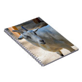 Niedliches Foto Notizblock (Rechte Seite)