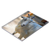 Niedliches Foto Notizblock (Linke Seite)