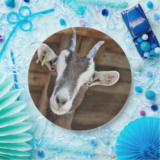 Niedliches Foto Pappteller (Party)