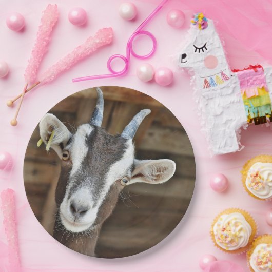 Niedliches Foto Pappteller (Party)