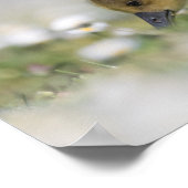 Niedliches Foto Poster (Ecke)