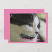 Niedliches Foto Postkarte (Vorne/Hinten)