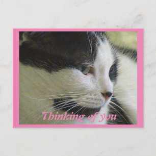 Niedliches Foto Postkarte