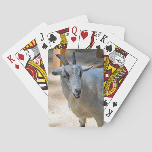 Niedliches Foto Spielkarten (Rückseite)