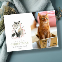 Niedliches Foto Wasserfarbe Meowa Weihnachtsbeleuc