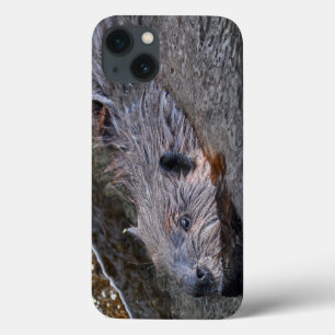 Niedliches Foto "Wilde Biber" iPhone 13 Hülle