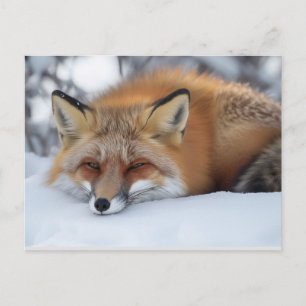 Niedliches Fox-Winter-Tier Postkarte