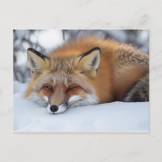 Niedliches Fox-Winter-Tier Postkarte (Vorderseite)