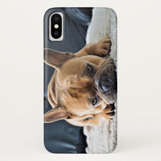 Niedliches französisches Bulldog-Foto Case-Mate iPhone Hülle (Rückseite)