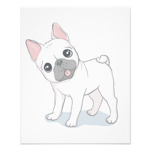 Niedliches französisches Bulldog-Portrait   Hund L Fotodruck