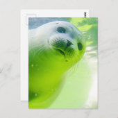 Niedliches freundliches Siegel Unterwasser Postkarte (Vorne/Hinten)