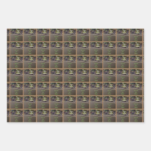 Niedliches Froschgesicht Tier Personalisiert Geschenkpapier Set (Vorderseite)