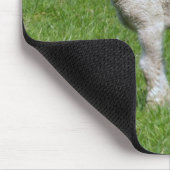 Niedliches Frühlings-Lamm Mousepad (Ecke)