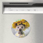 Niedliches Funny Chinese Creppy Dog Magnet (In Situ (Geschirrspüler))