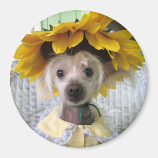 Niedliches Funny Chinese Creppy Dog Magnet